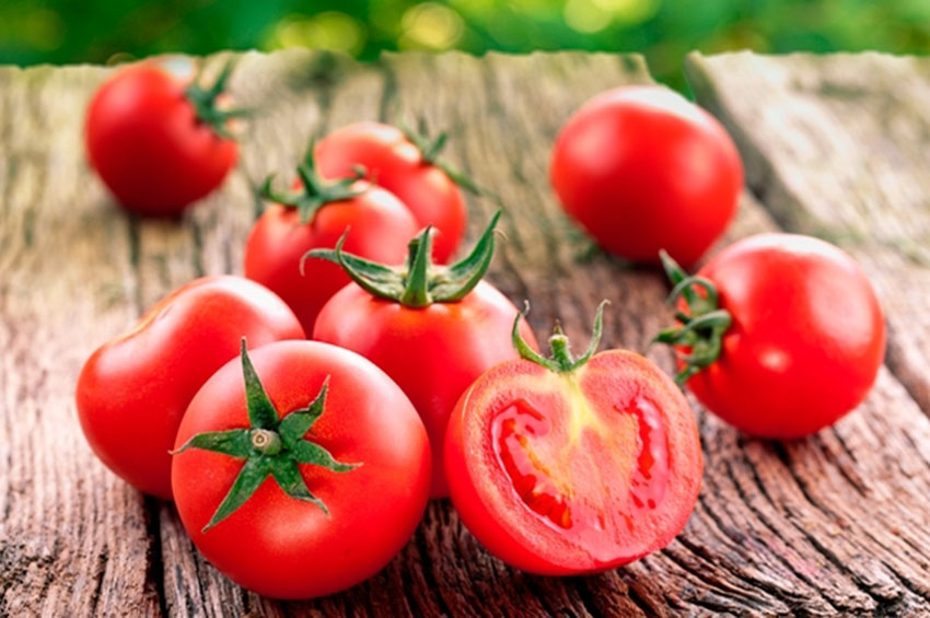 Conheça os principais benefícios do tomate Revista SuplementAção