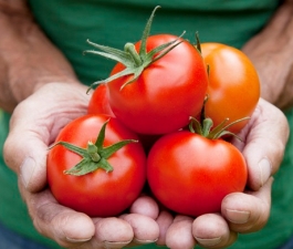 Três dúvidas sobre alimentação e câncer