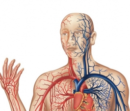 Doenças cardiovasculares podem aumentar no inverno