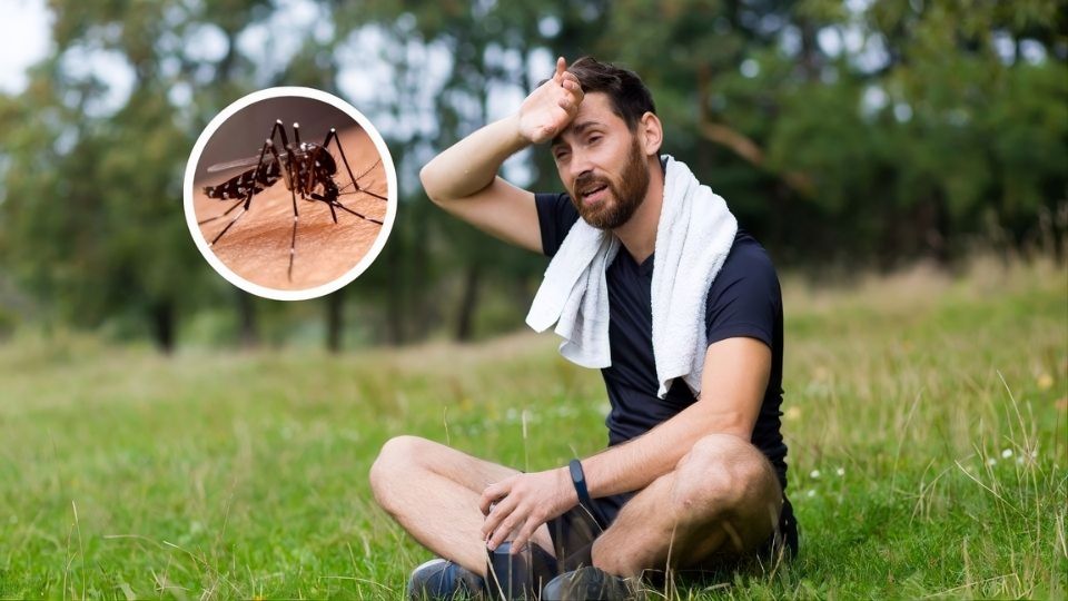 Dengue e Atividade Física: quando é seguro voltar a treinar?